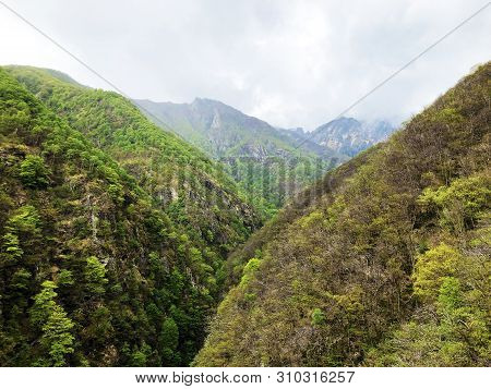 Canyon Of The River Sementina Or Valle Di Sementina, Monte Carasso - Canton Of Ticino, Switzerland