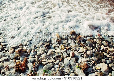 Dead Jellyfish, Dry Red Algae And Garbage On Pebble Beach Of Sea, View From Side Angle Above, Horizo