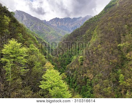 Canyon Of The River Sementina Or Valle Di Sementina, Monte Carasso - Canton Of Ticino, Switzerland