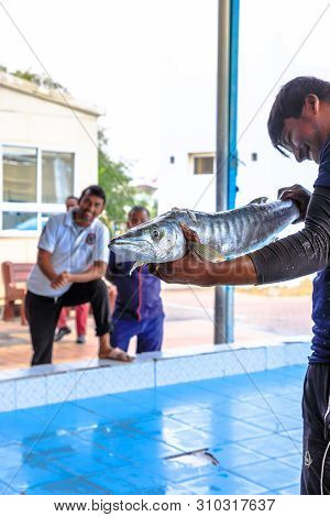 Al Khor, Qatar - February 23, 2019: Fisherman Holding Big Fish At Fish Auction In Al Khor Fish Marke
