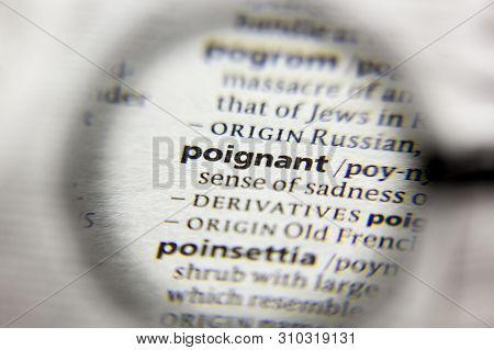 The Word Or Phrase Poignant In A Dictionary