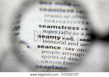 The Word Or Phrase Seamy In A Dictionary