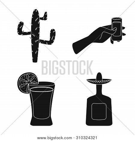 Vector Design Of Carnival And National Sign. Collection Of Carnival And Tequila Vector Icon For Stoc