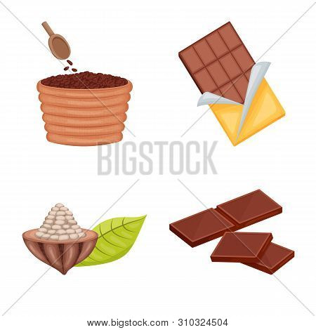 Isolated Object Of Cocoa And Beans Logo. Collection Of Cocoa And Sweetness Stock Symbol For Web.