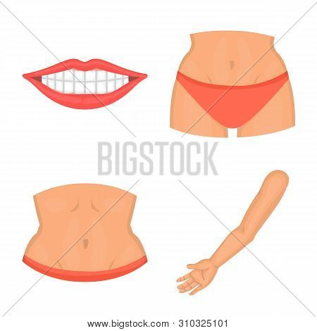 Vector Design Of Body And Part Sign. Set Of Body And Anatomy Vector Icon For Stock.