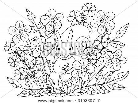 Abstract Coloring Page With Summer Flowers And Cute Squirrel, For Kids And Adults