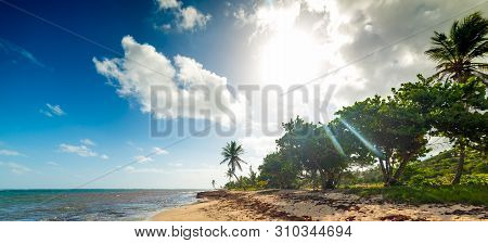 Sun Shining Over Autre Bord Beach In Guadeloupe, French West Indies. Lesser Antilles, Caribbean Sea
