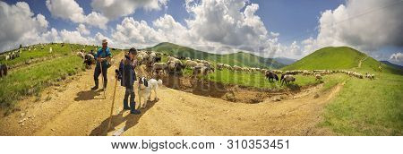 A Flock Of Sheep On A Mountain