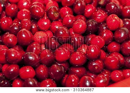 Close Up Of Cherries. Full Frame Of Red Cherries.