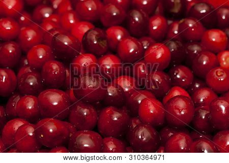 Close Up Of Cherries. Full Frame Of Red Cherries.