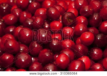Close Up Of Cherries. Full Frame Of Red Cherries.