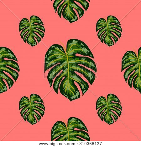 Tropical Pattern. Seamless Texture With Bright Hand Drawn Leaves Of Monstera.