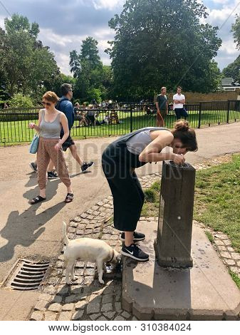 HAMPSTEAD HEATH, LONDON - JULY 7, 2019: A woman and a dog drink from a public water fountain on Hampstead Heath in London, UK.