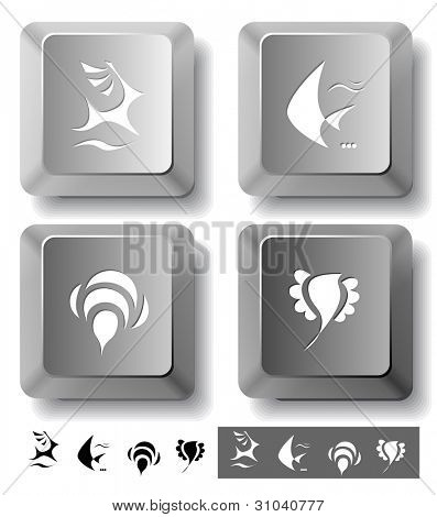 Animal icon set. Deer, bird, bee, fish.  Computer keys. Vector illustration.