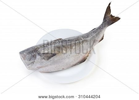 Frozen Carcass Of Saithe, Also Known As Coalfish Without Head On Dish On A White Background