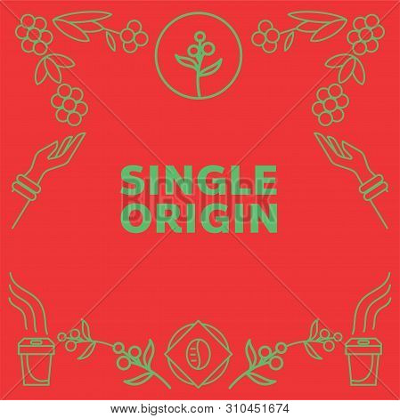 Fresh Harvest Single Origin Coffee Background With Coffee Fruits ,leaf And Hand Harvest Fresh Cherry