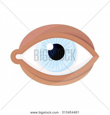 Vector Illustration Of Eye And Eyeball Logo. Set Of Eye And Blue Vector Icon For Stock.