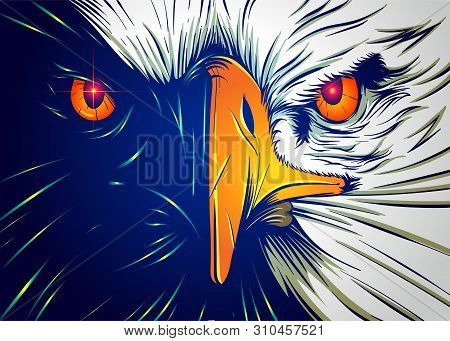 A Line Art Illustration Of A Powerful Eagle Face In Vector.