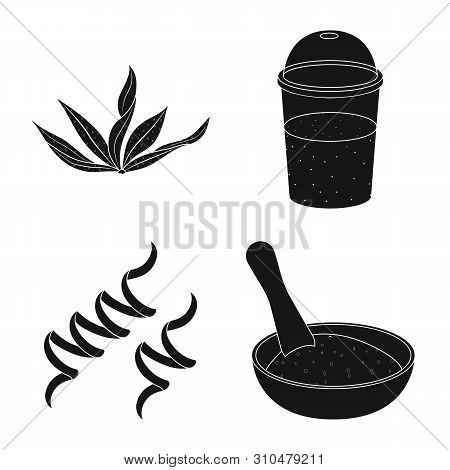 Vector Design Of Grass And Natural Logo. Set Of Grass And Seaweed Stock Symbol For Web.