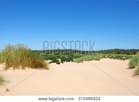 The Beach At Formby Merseyside With Dunes Covered In Marram Grass And Vegetation With Forest Landsca
