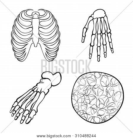 Vector Design Of Medicine And Clinic Icon. Set Of Medicine And Medical Vector Icon For Stock.