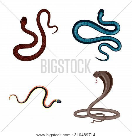 Vector Illustration Of Poison And Evil Logo. Set Of Poison And Bite Stock Vector Illustration.