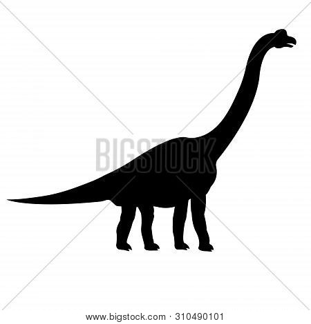 Vector Black Silhouette Of Brachiosaurus Isolated On White Background