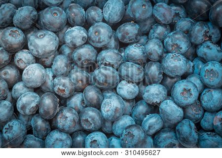 Fresh Blueberry Background. Texture Blueberry Berries Close Up.