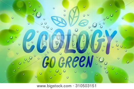 Ecology Word Drawn On A Window, Fresh Green Leaves And Water Rain Drops Or Condensate Macro, Vector 