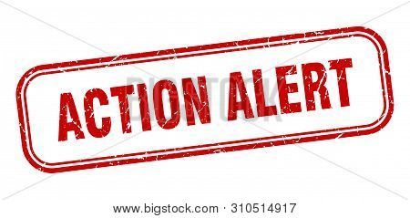 Action Alert Stamp. Action Alert Square Grunge Sign. Action Alert