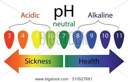 Ph Level Scale Showing Sickness And Health In Human Body Vector Infographics