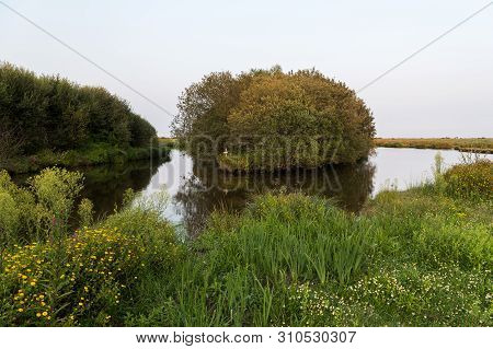 Beautiful Wetland In The Natural Park Of Saint Lyphard