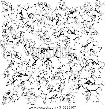 Seamless Vector Pattern With Abstract Flowers,sketch Style On White Background