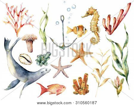 Watercolor Underwater Wildlife Set. Hand Painted Coral Reef, Sea Lion, Tropical Fish, Anchor, Seahor