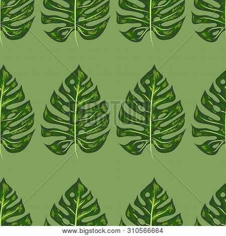 Tropical Pattern. Seamless Texture With Bright Hand Drawn Leaves Of Monstera.