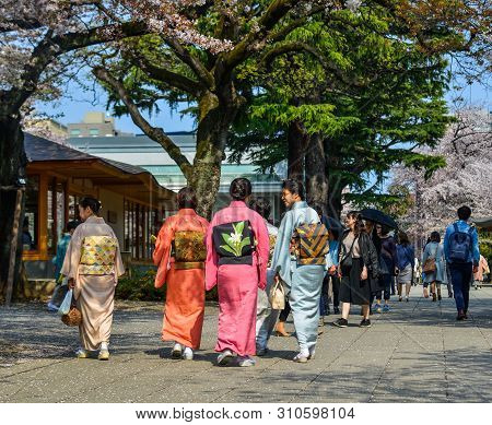 People Enjoying Cherry Blossom (hanami)