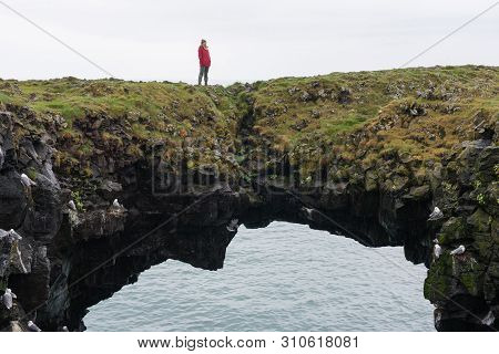 Arnarstapi Basalt Rock Arch Formation, Iceland