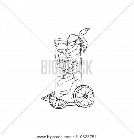 Mojitococktail. Monochrome Sketch, Hand Drawing. Black Outline On White Background. Vector Illustrat