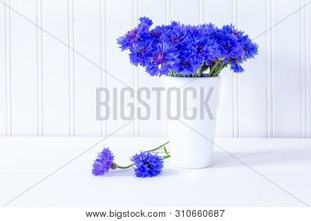 Blue Bachelor Buttons in a white ceramic vase.
