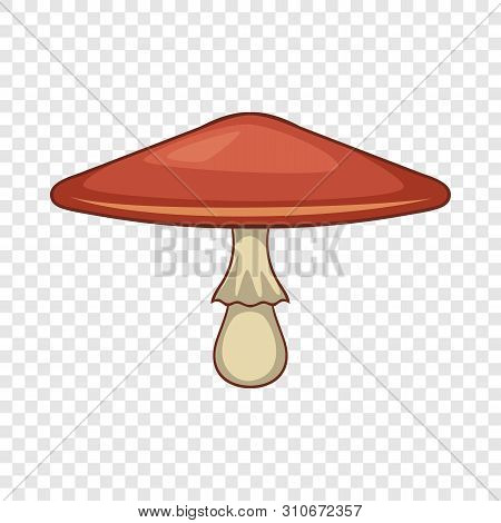 Lepiota Procera Mushroom Icon. Cartoon Illustration Of Lepiota Procera Mushroom Vector Icon For Web 