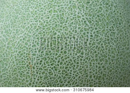 Close Up Skin Of Cantaloupe Melon For The Background And Texture