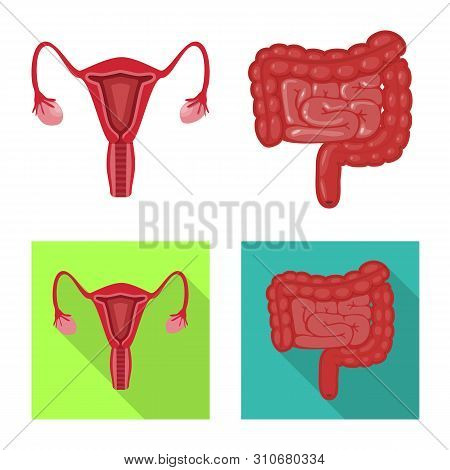 Vector Design Of Biology And Scientific Icon. Set Of Biology And Laboratory Vector Icon For Stock.