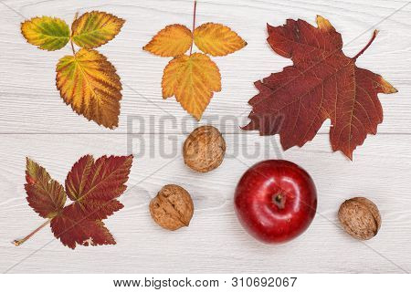Dry Yellow And Brown Leaves, Red Apple And Walnuts On Wooden Background. An Autumn Still Llife. Top 