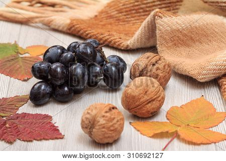 Grapes, Walnuts, Checkered Plaid And Dry Leaves On Wooden Boards. An Autumn Still Llife.