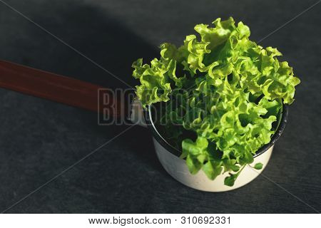 Green Lettuce Leaves In Kitchen Ladle On Stone Cutting Board On Kitchen Table.