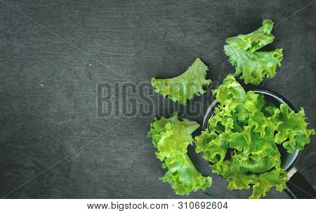 Green Lettuce Leaves In Kitchen Ladle On Stone Cutting Board On Kitchen Table.