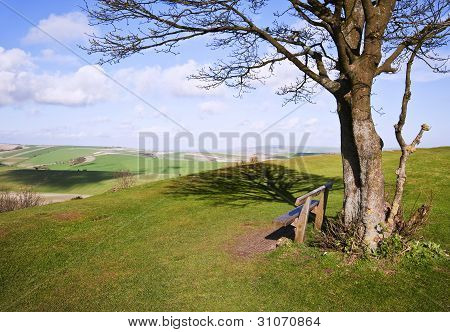 Parkbank und Baum mit Blick auf die schÃ¶ne Landschaft Landschaft
