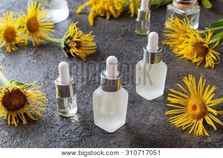 Bottles Of Essential Oil With Fresh Elecampane And Canadian Goldenrod In The Background