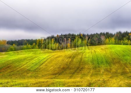 Beautiful Fall Landscape With Wavy Colorful Fields Under Rainy Grey Skies. Horizontal Image