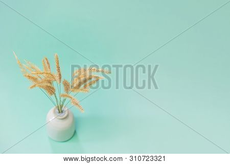 Spikelets Of Dry Weeds, Shot From Above With Shallow Depth Of Field And Copy Space. Details Of A Sim